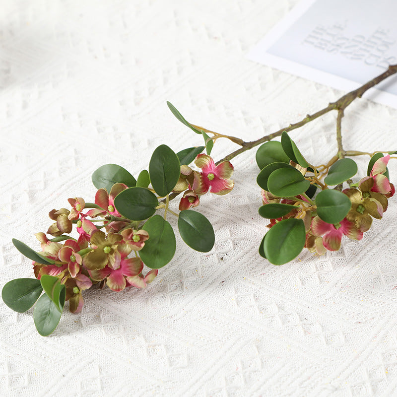 Pronged Bean Leaf Flowers