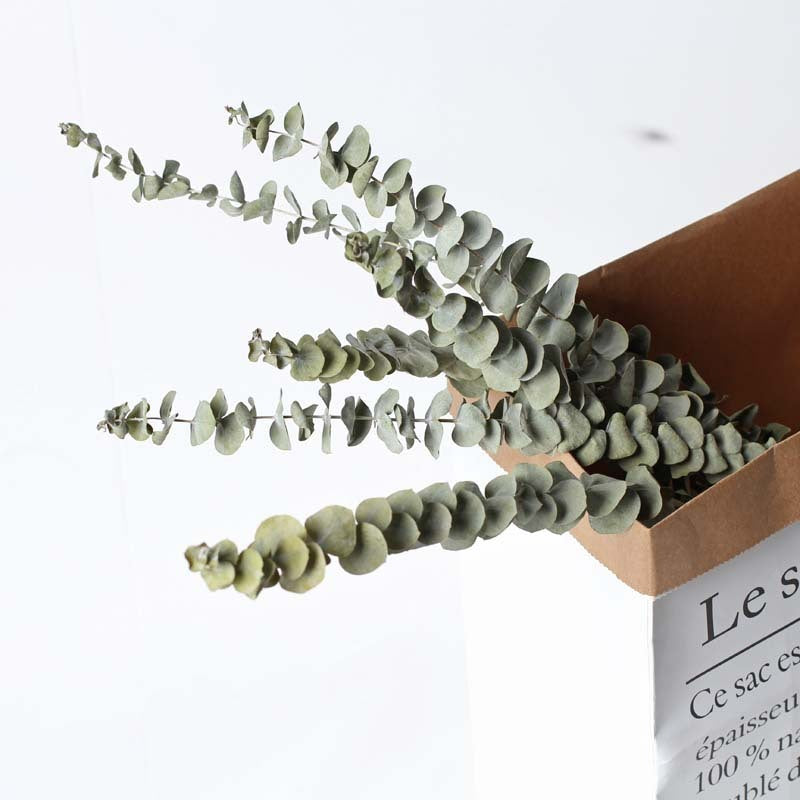 Organic Eucalyptus Dried Flowers