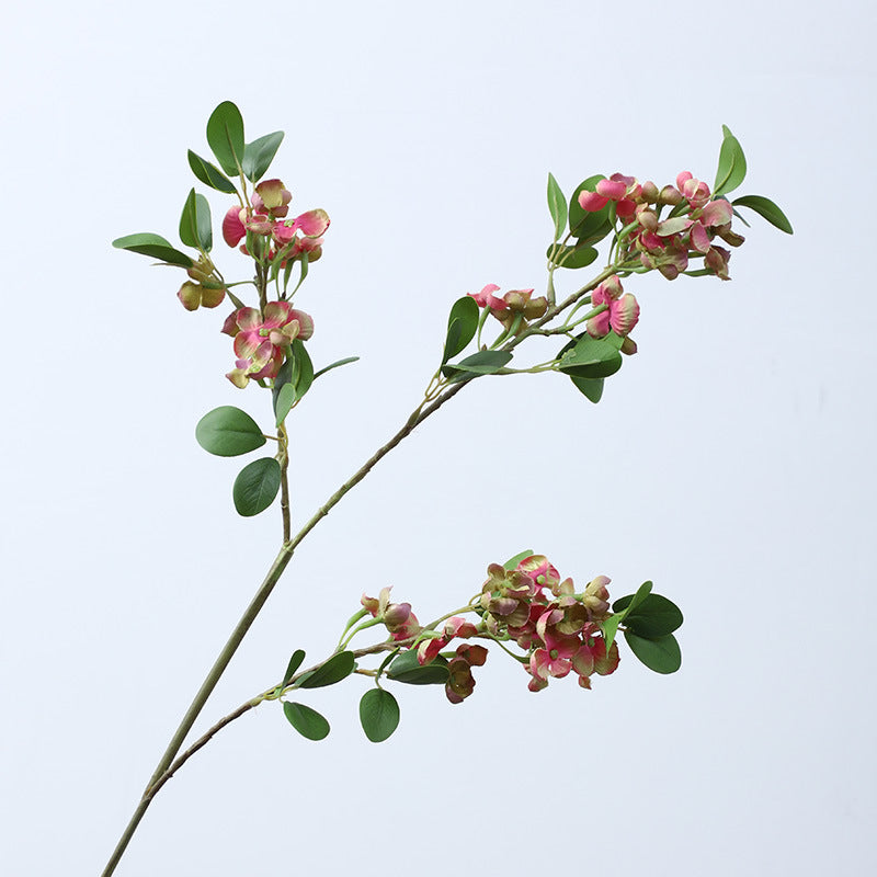 Pronged Bean Leaf Flowers