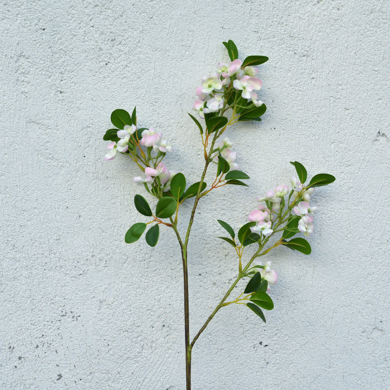 Pronged Bean Leaf Flowers