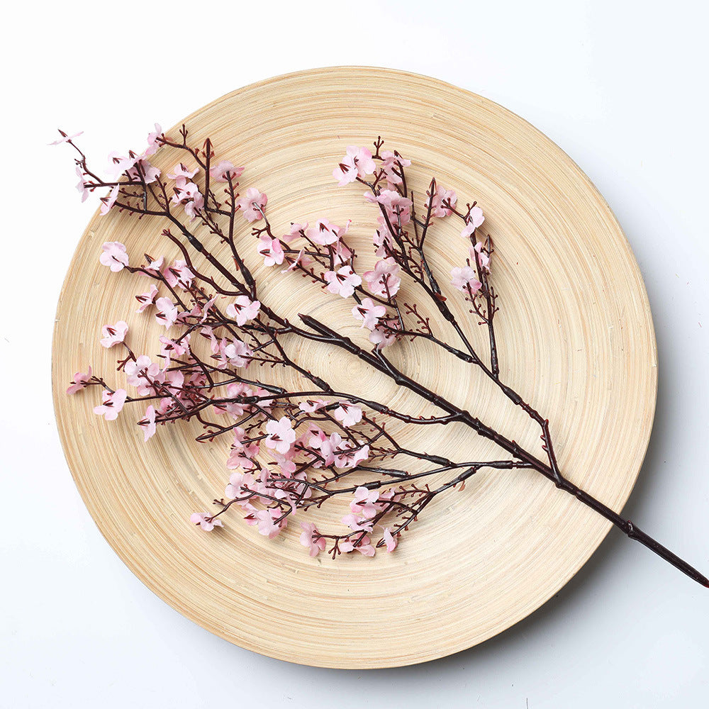 Multicolour Plum Blossom Flowers
