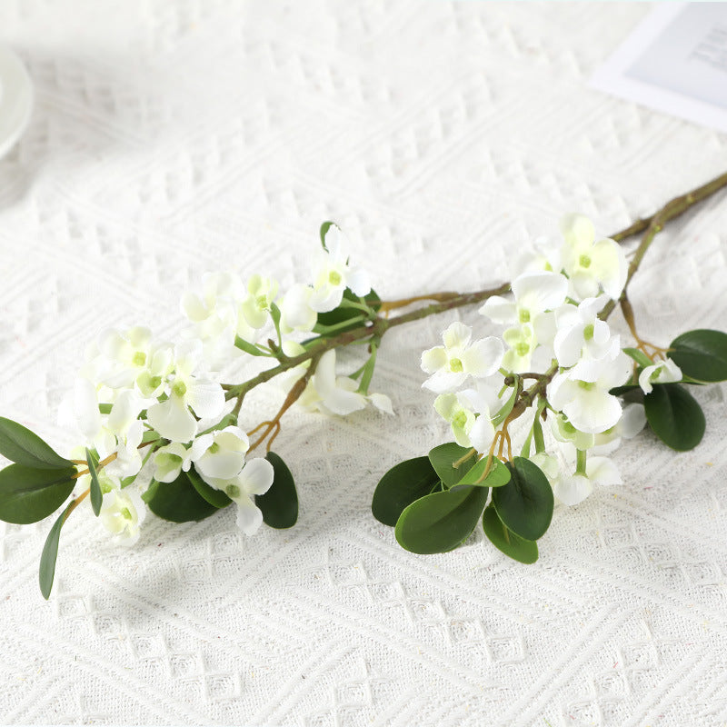 Pronged Bean Leaf Flowers