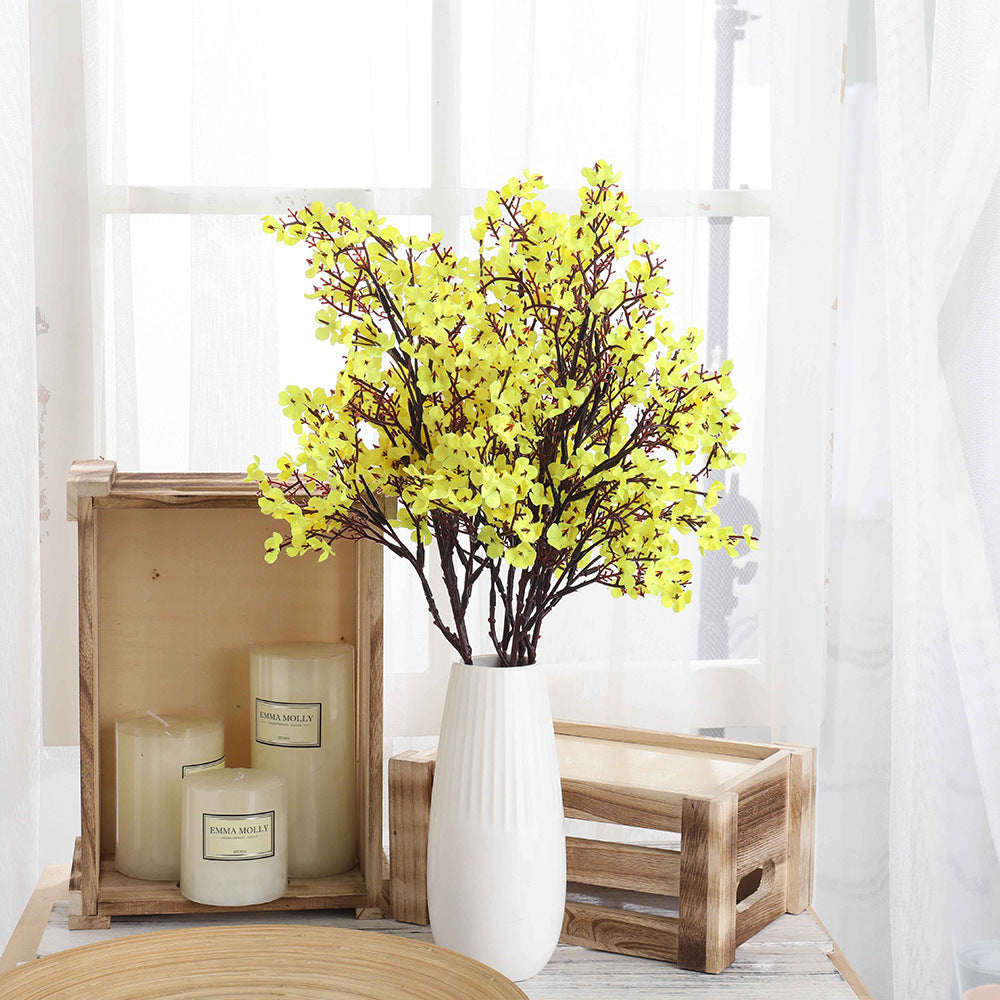 Multicolour Plum Blossom Flowers