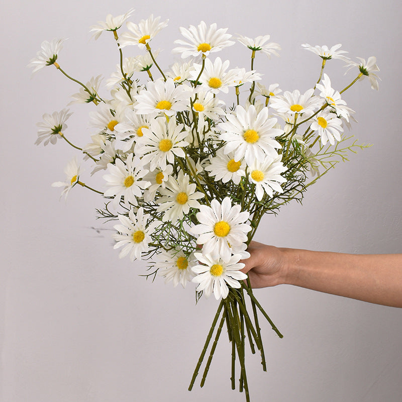 New York Aster Flowers- 5 Heads