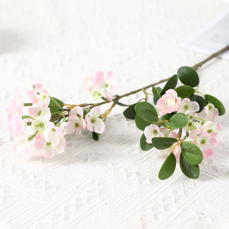 Pronged Bean Leaf Flowers