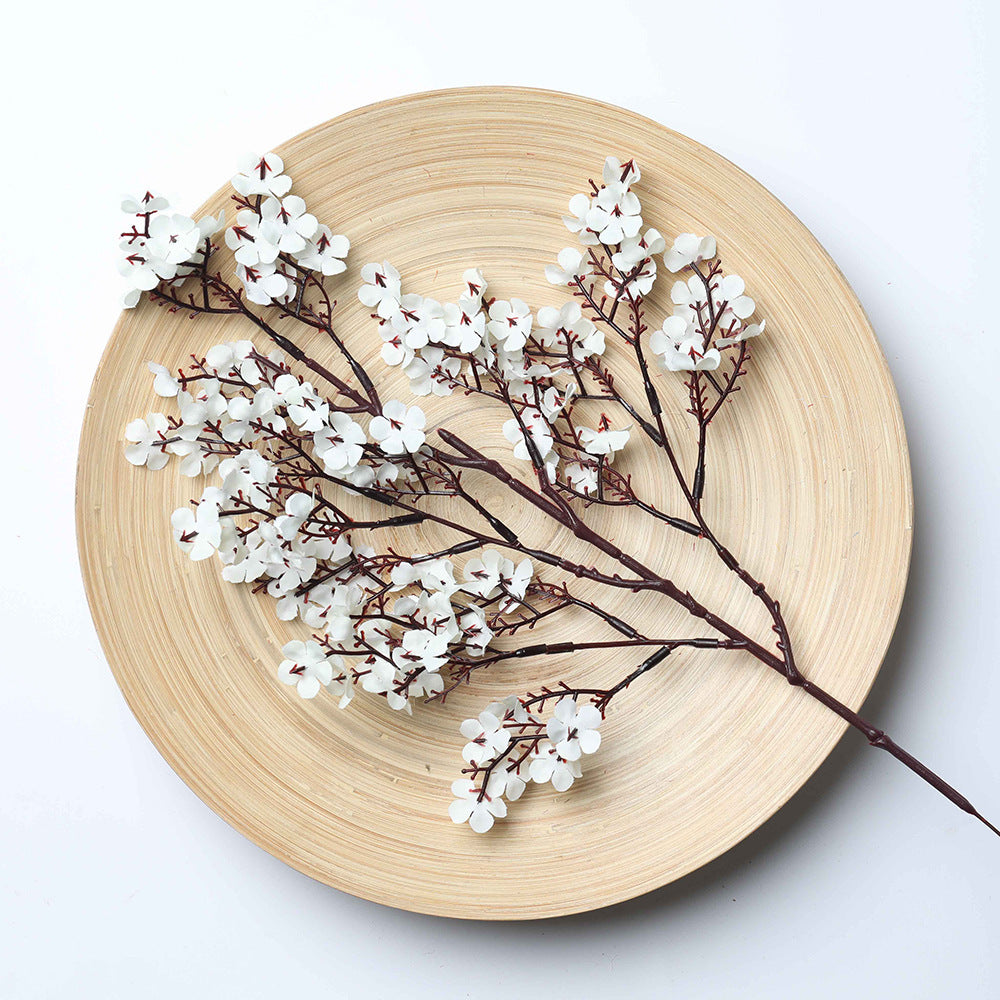 Multicolour Plum Blossom Flowers