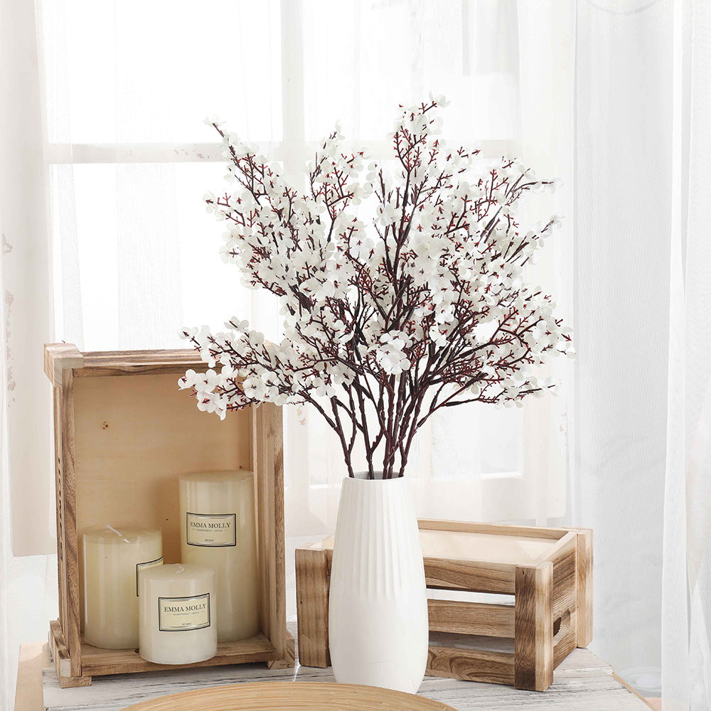 Multicolour Plum Blossom Flowers