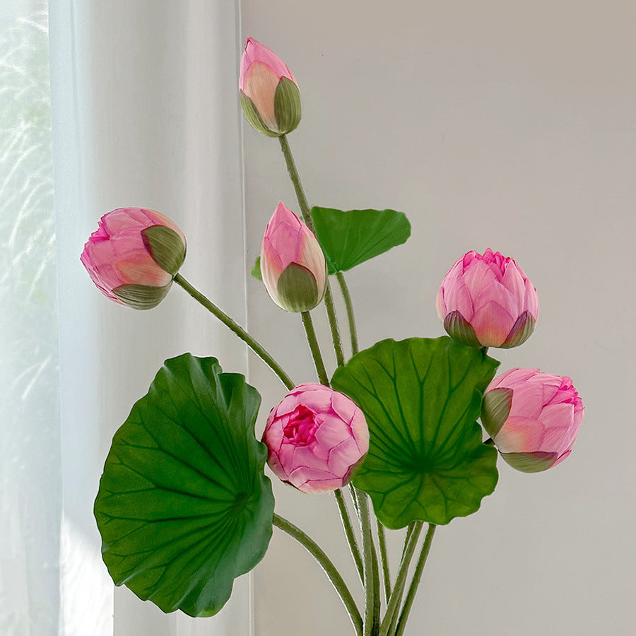 Lotus Pods and Flowers