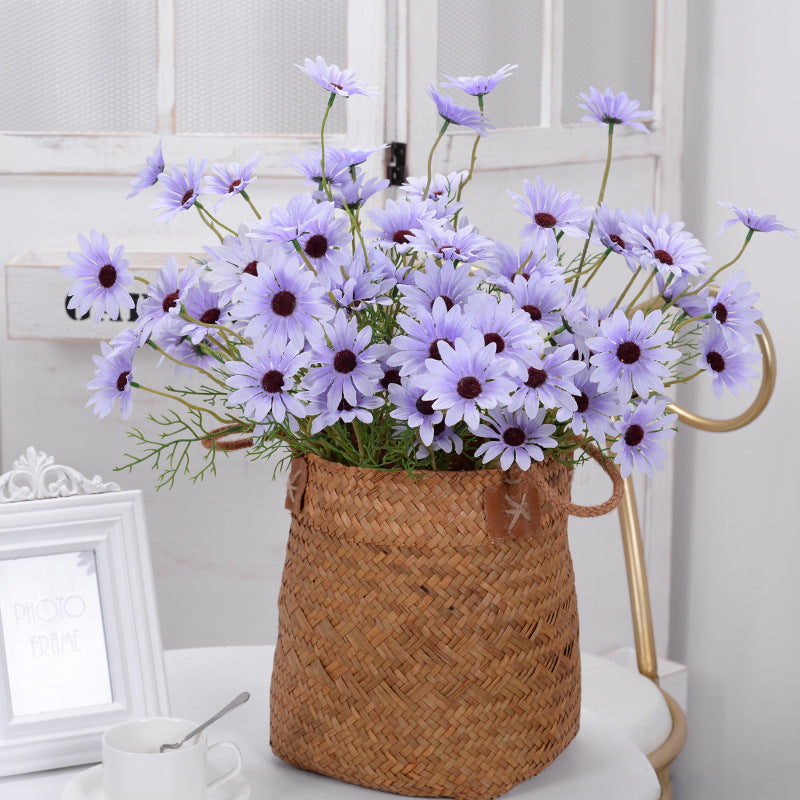 New York Aster Flowers- 5 Heads