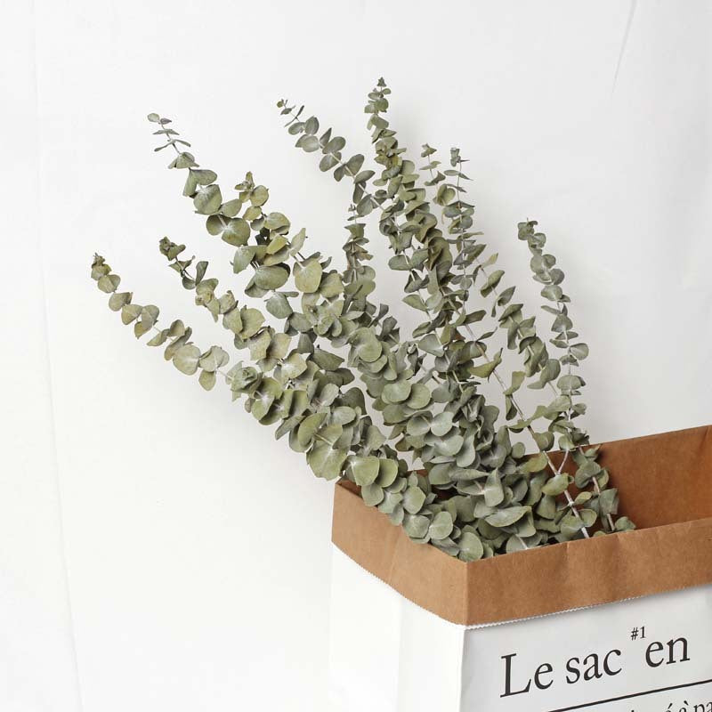 Organic Eucalyptus Dried Flowers