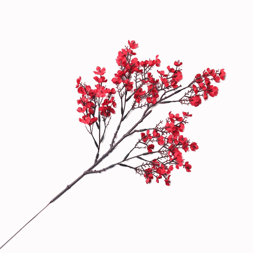 Multicolour Plum Blossom Flowers