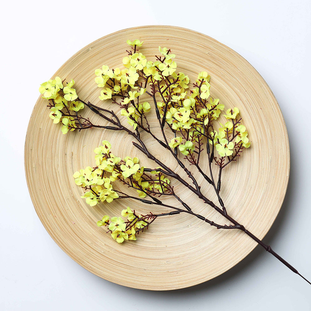 Multicolour Plum Blossom Flowers