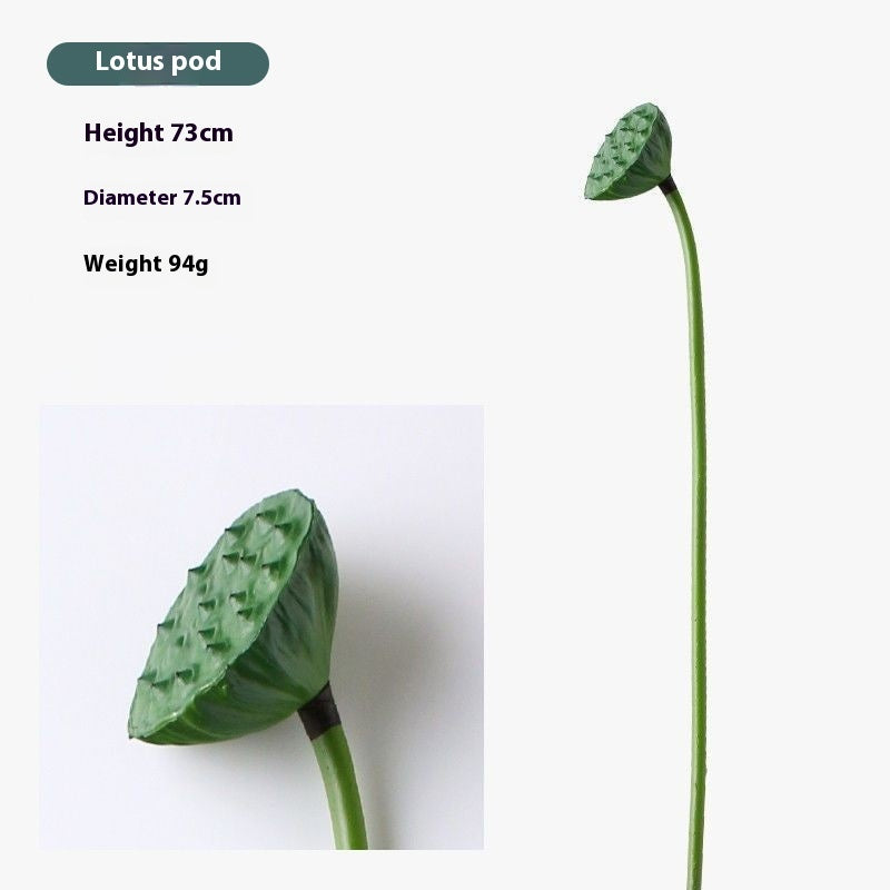 Lotus Pods and Flowers
