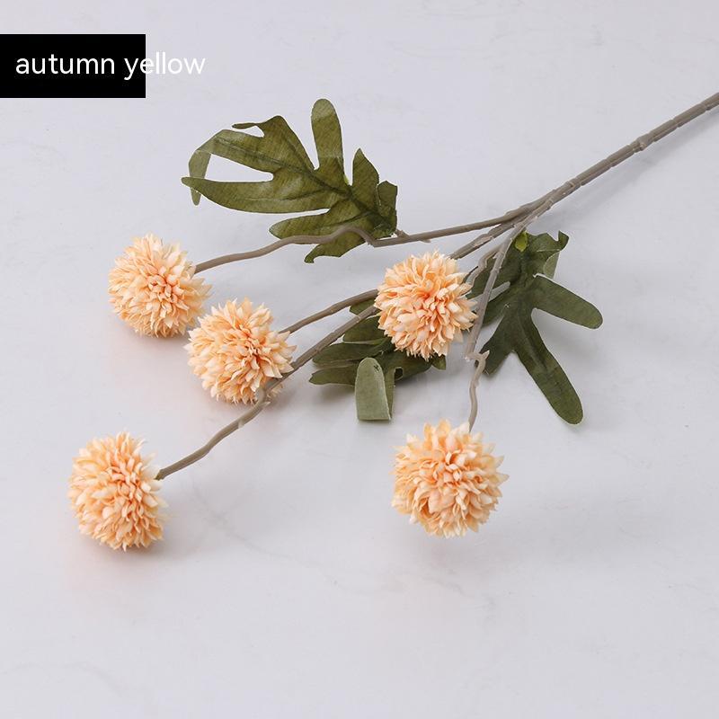 Five Dandelion Flowers