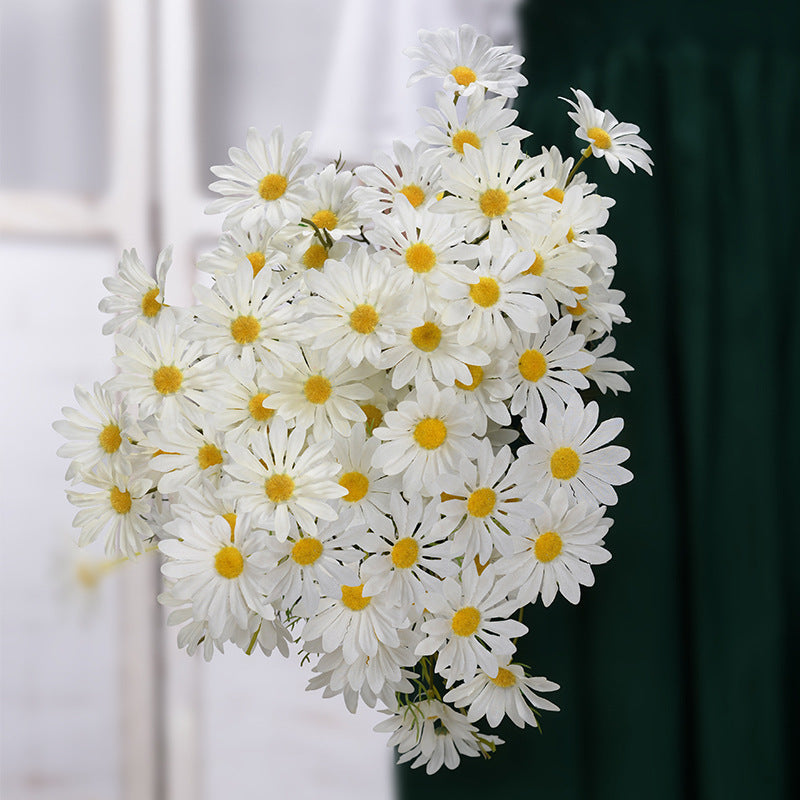New York Aster Flowers- 5 Heads
