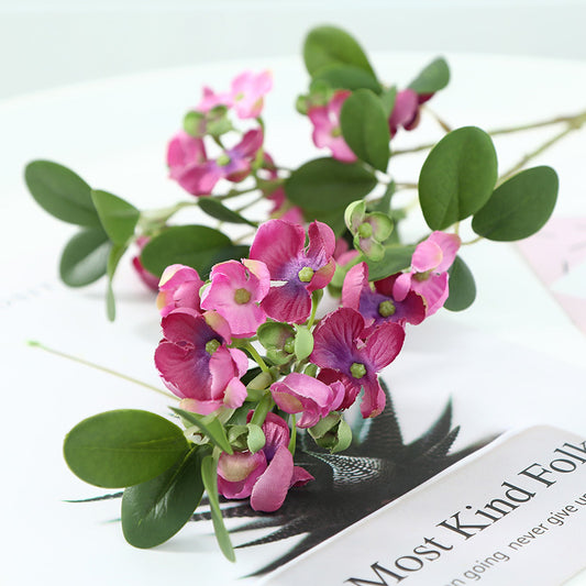 Pronged Bean Leaf Flowers