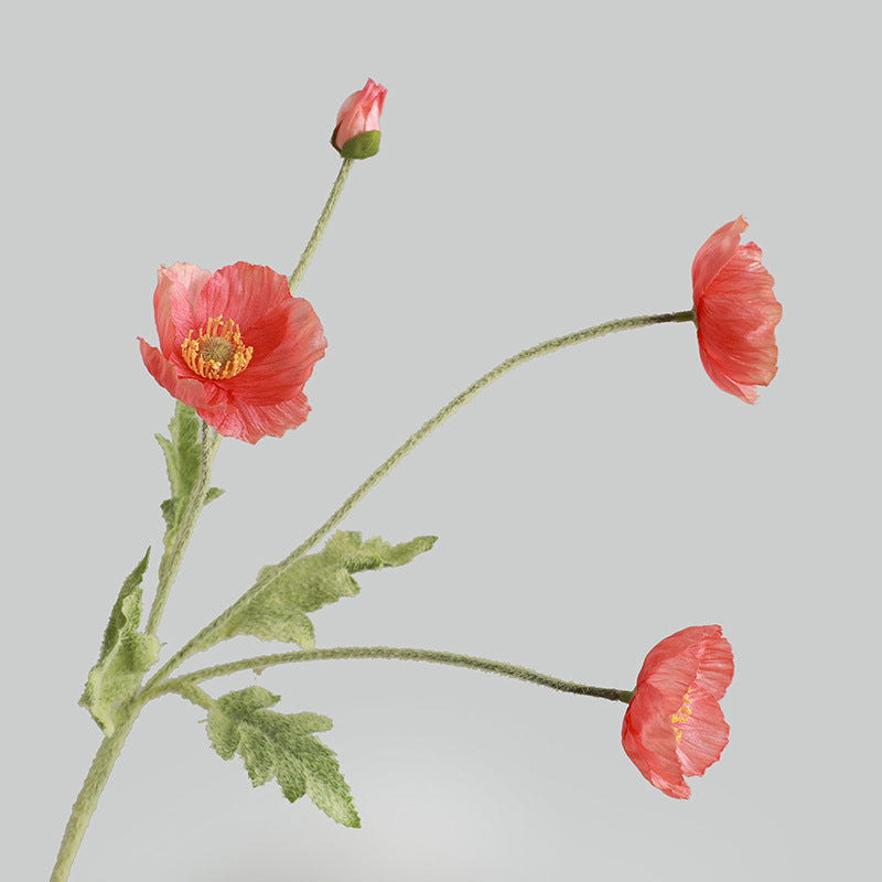 Chinese Style Flowers
