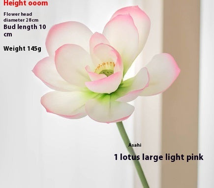 Lotus Pods and Flowers