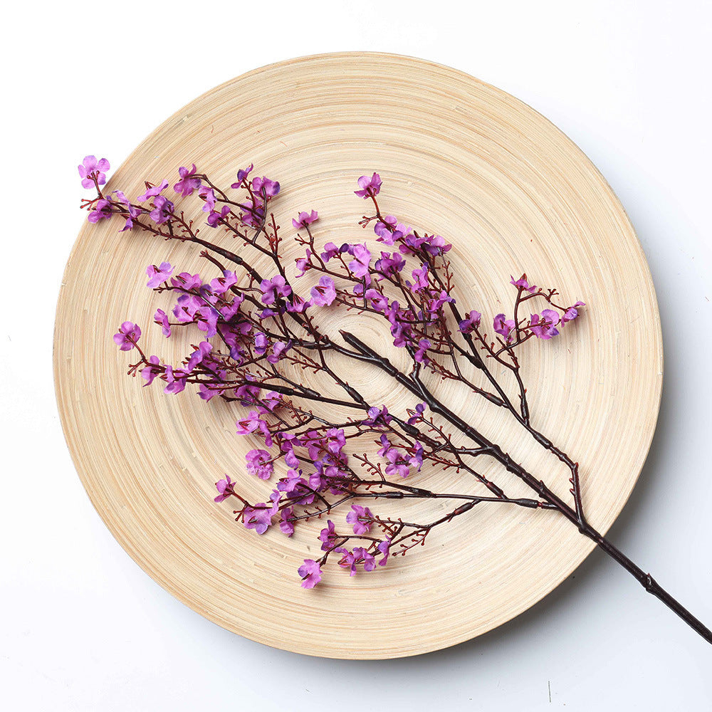 Multicolour Plum Blossom Flowers