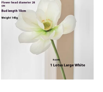 Lotus Pods and Flowers