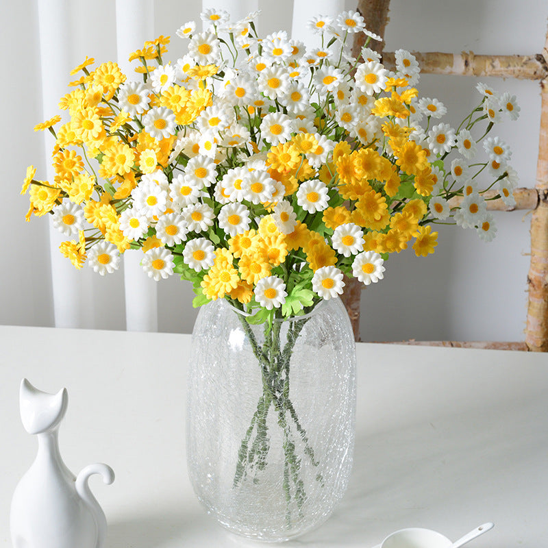 Multicolour Chamomile Flowers