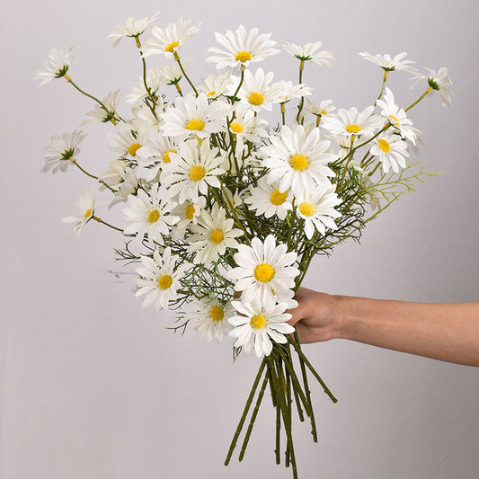 New York Aster Flowers- 5 Heads