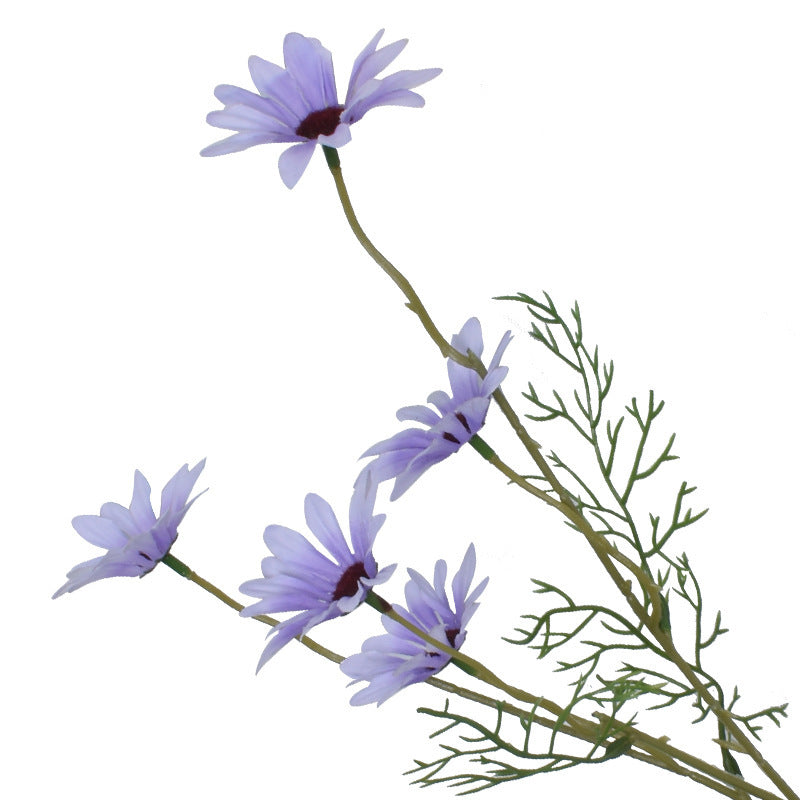 New York Aster Flowers- 5 Heads