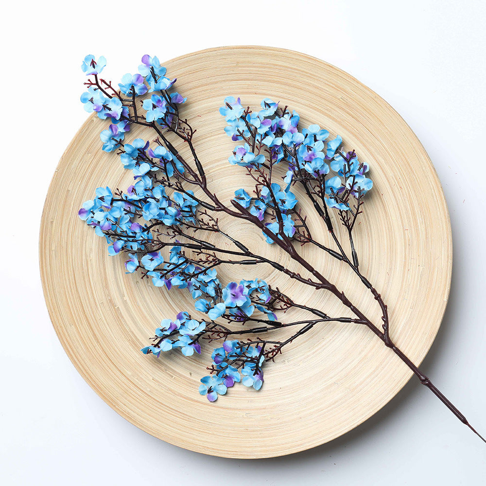 Multicolour Plum Blossom Flowers