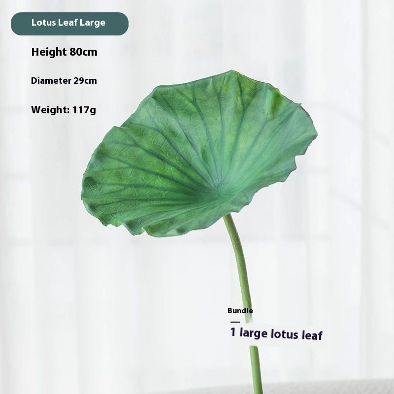 Lotus Pods and Flowers