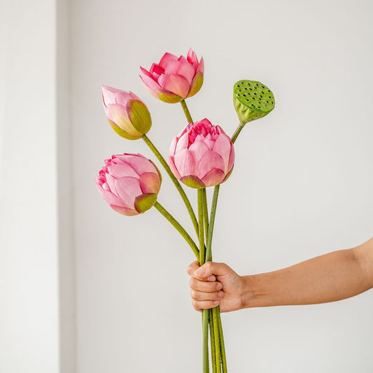 Lotus Pods and Flowers